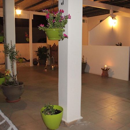 Elounda Olive Garden Apts & Studios Kültér fotó