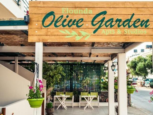 Elounda Olive Garden Apts & Studios Kültér fotó