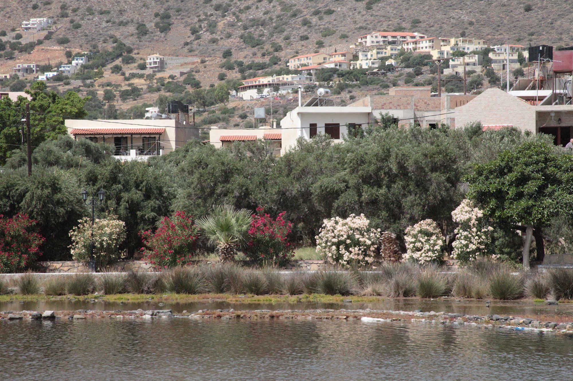 Elounda Olive Garden Apts & Studios Kültér fotó
