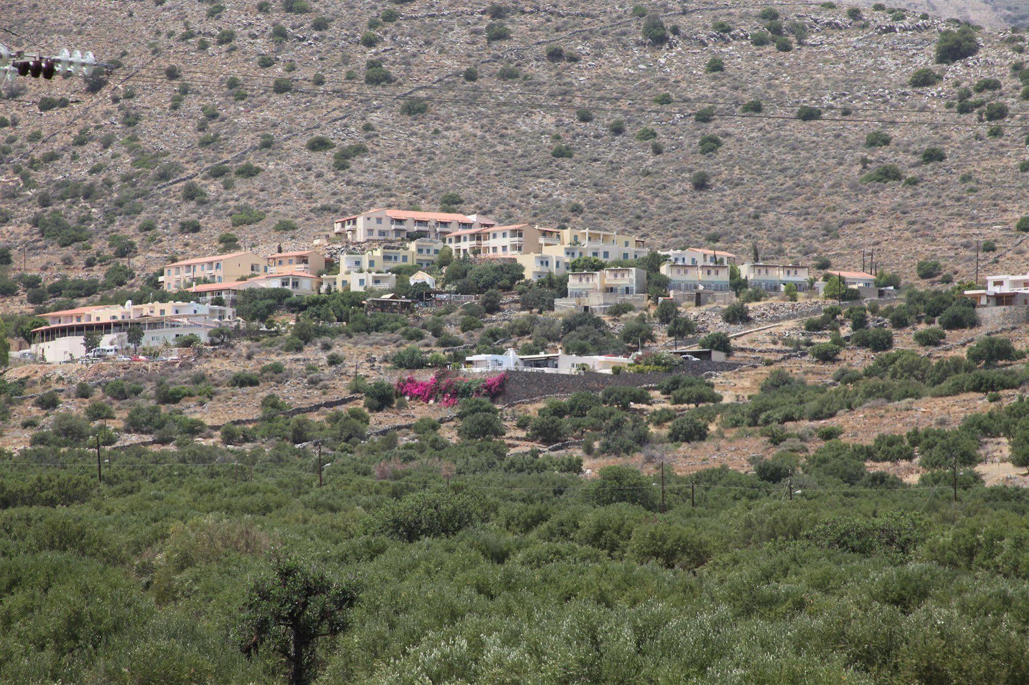 Elounda Olive Garden Apts & Studios Kültér fotó